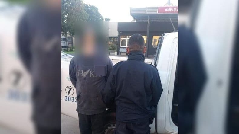 Violencia doméstica: una mujer de 82 años pidió auxilio tras ser agredida por su nieto en el barrio Centenario