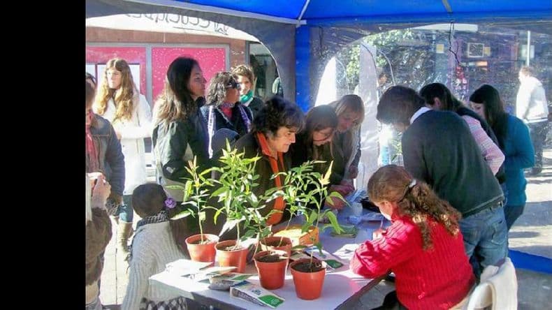 Concientizar sobre el arbolado público, eje de una campaña especial para Pergamino