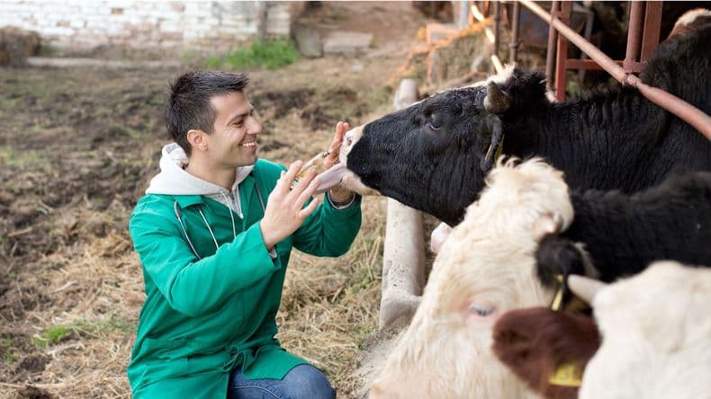Veterinarios: aliados clave para la salud animal, humana y ambiental