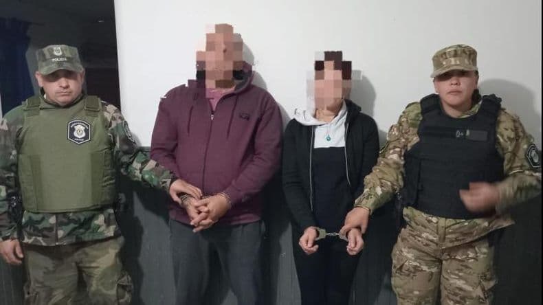 Aprehendieron a dos personas por tener 60 plantas de marihuana en la casa
