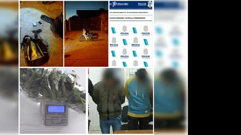 Fueron a robar a una casa con una planta de marihuana y terminaron detenidos
