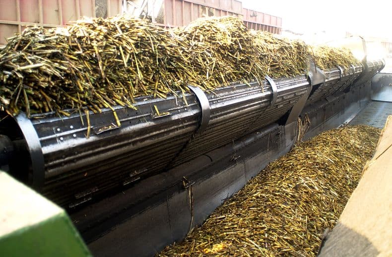 Agroindustria en crecimiento: las exportaciones argentinas suben un 4,5%