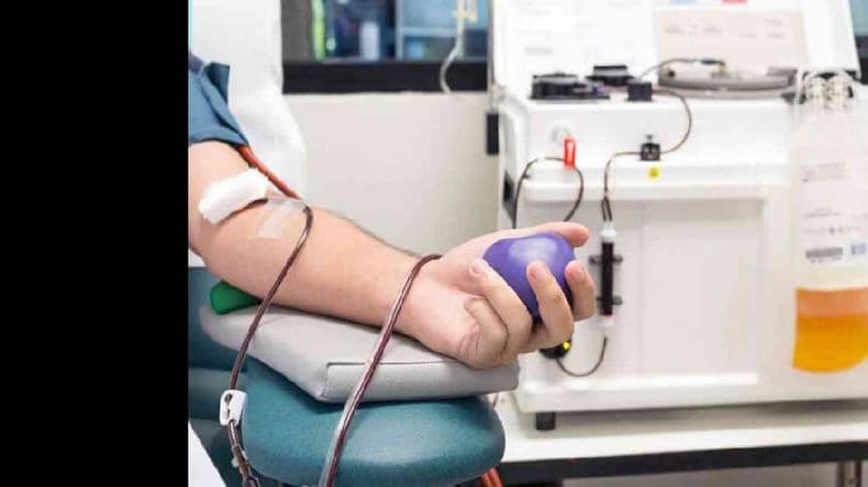 Pacientes recuperados de Covid-19: qué pasos hay que dar para donar plasma