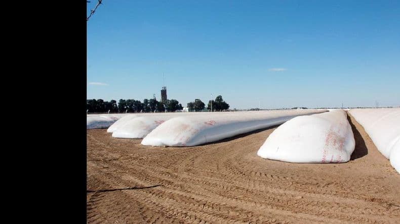 Control de plagas en granos durante el período de almacenamiento