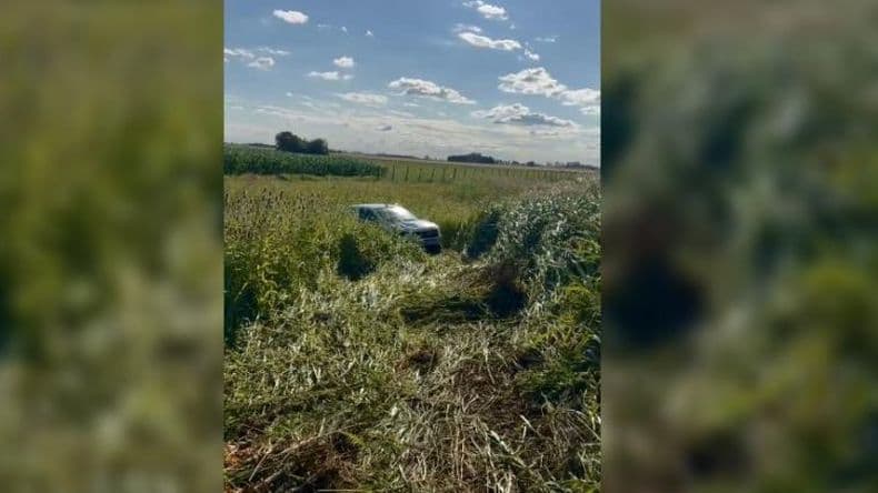 Hospitalizaron a una mujer que conducía un auto que despistó en la autopista