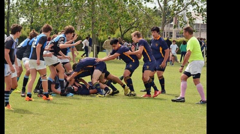 El rugby de Gimnasia inicia su participación en los torneos de la Uroba
