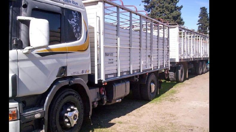La Policía Vial secuestró un camión con documentación falsa que llevaba animales