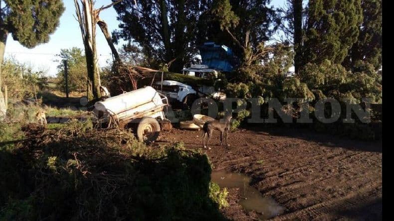 Fuertes ráfagas de viento en Pergamino: más imágenes de los daños