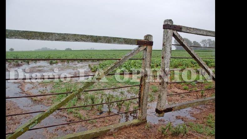 Luego de las lluvias se viene una semana cálida