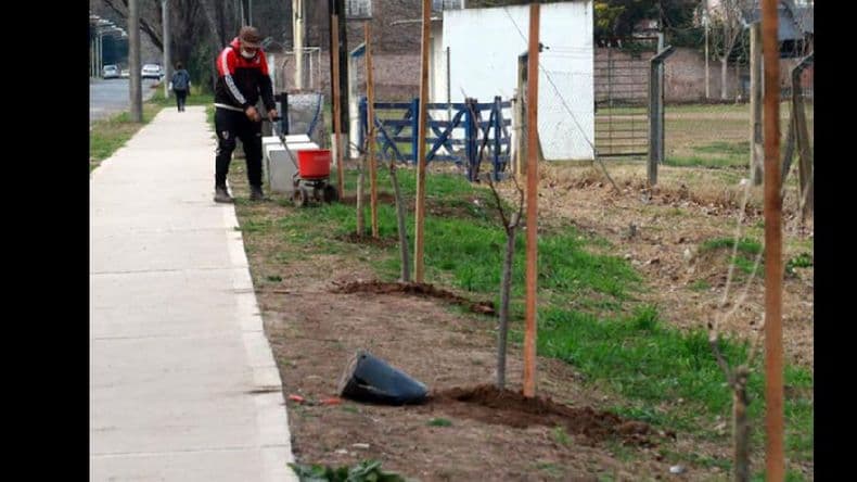 Avanza la forestación del “Circuito Aeróbico Parque General San Martín”