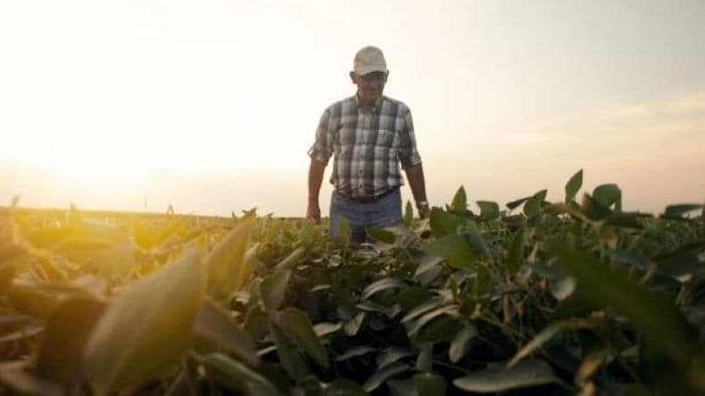 Con el cambio climático el productor del agro busca protegerse ¿Qué ofrece La Segunda?