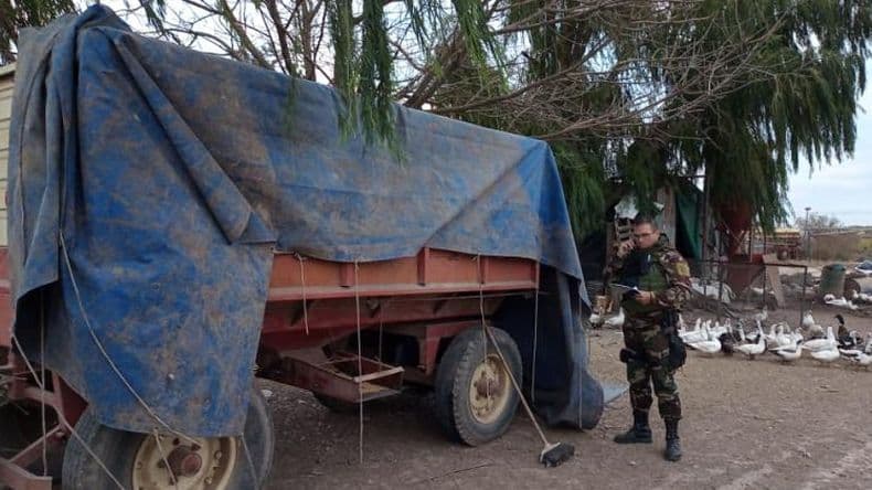 Rompieron silobolsas en dos campos y se robaron siete mil kilogramos de soja