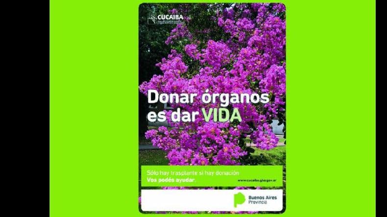 Incremento en el número de donantes de órganos