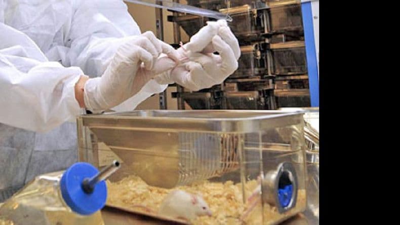 La Unnoba y el Maiztegui darán un curso para profesionales de áreas biológicas y biomédicas