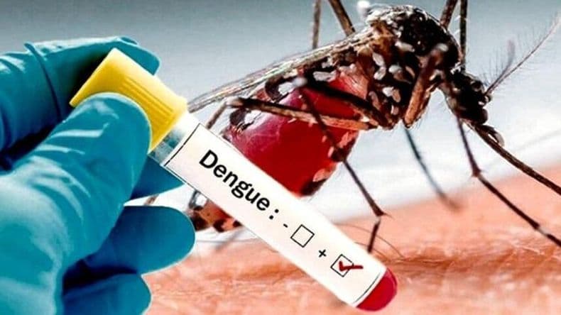 Brote de dengue: ¿Cuál es la situación en Pergamino?