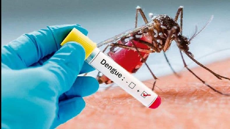 Dengue: un nuevo ciclo epidémico que exige estar alertas y preparados