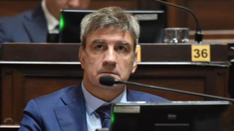 Por pedido del PRO, Compagnoni entrega su banca en el Consejo de la Magistratura