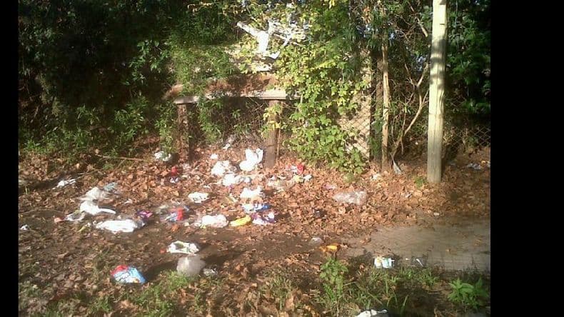 Malestar por la presencia de ratones, basura y malezas en un domicilio de Joaquín Menéndez al 600