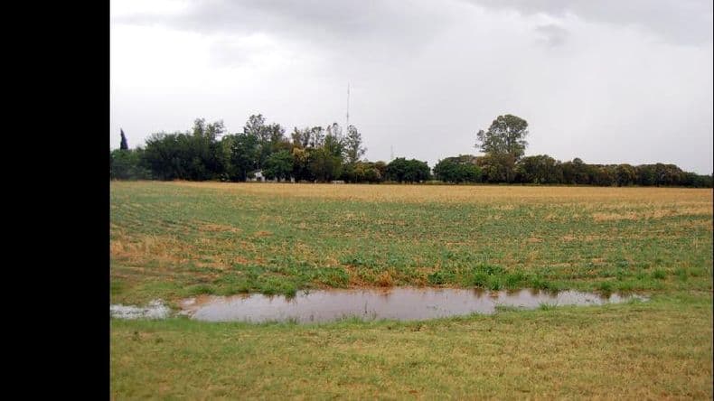 Clima: anuncian que reaparece el ambiente templado y húmedo