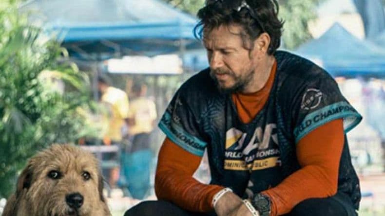 Dos estrenos en las salas de Cinema