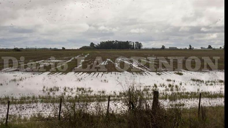 Temor por pérdidas en la cosecha gruesa