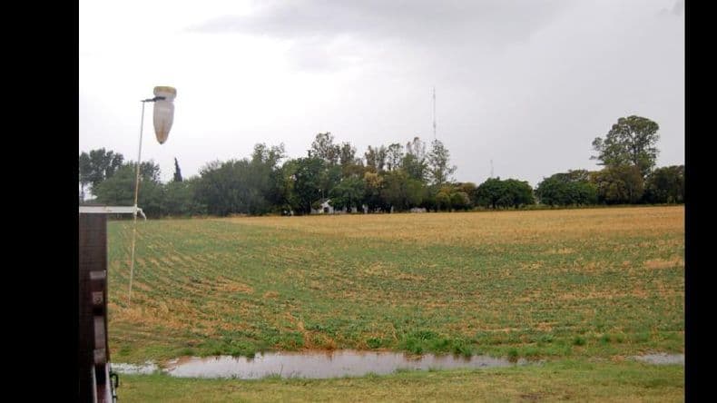 Clima: ambiente demasiado húmedo en el arranque de este mes