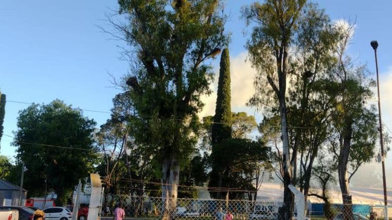Incendio en uno de los quinchos del Parque Municipal