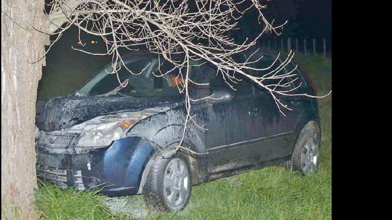 Un auto con una familia pergaminense a bordo se despistó y chocó un árbol