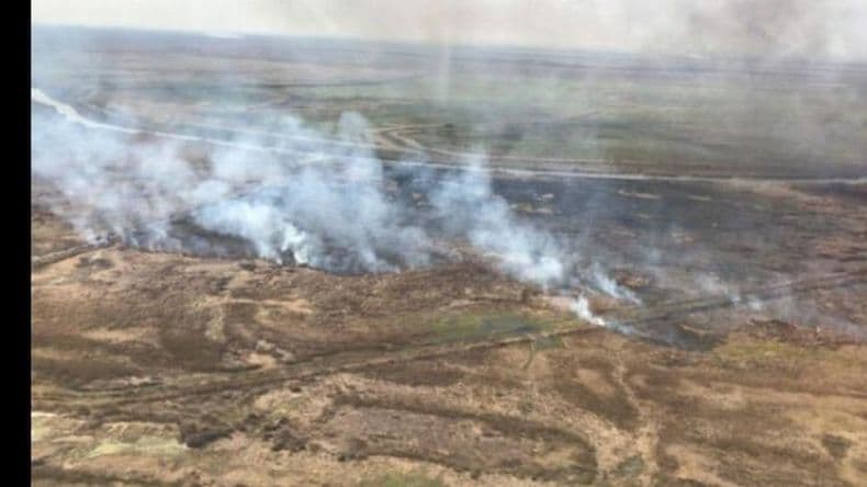 Incendios en el Delta del Paraná: hay focos en tres distritos bonaerenses