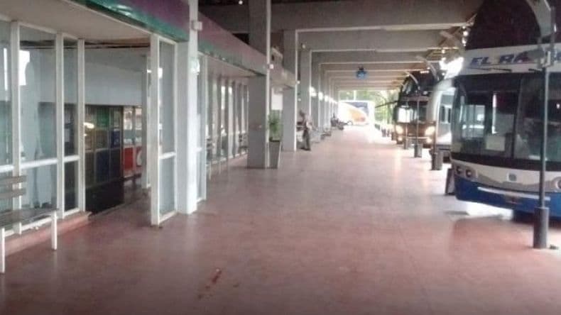 El Gobierno nacional desregula el transporte automotor de media y larga distancia