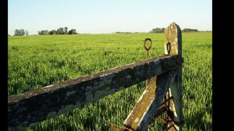 Hasta este miércoles se puede pagar el Inmobiliario Rural y el Complementario