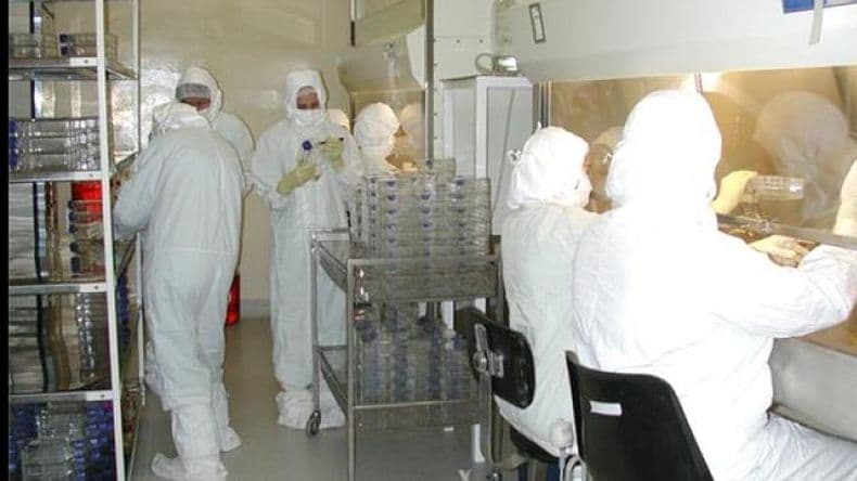 El Maiztegui detectó nuevas variantes de Dengue y Chikungunya en Argentina