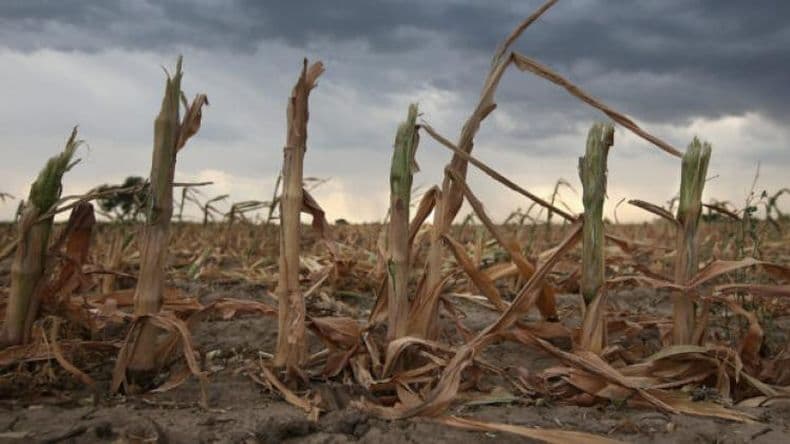 Clima: el Inta advirtió sobre un probable regreso de "La Niña" en el segundo semestre