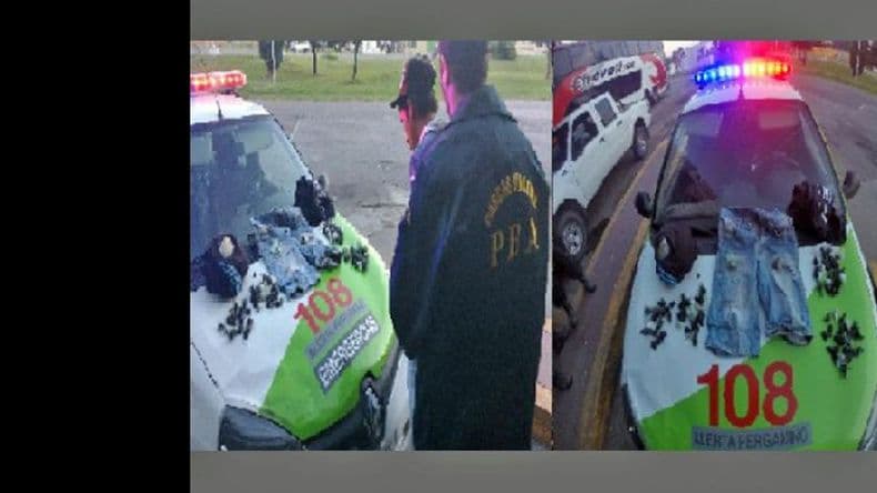 Secuestraron droga, plantas de marihuana y armas de fuego: hay tres detenidos