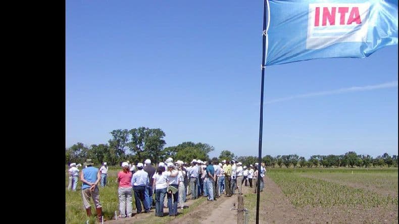 Fitopatología de cultivos agrícolas en la Unnoba