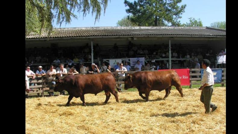 Se viene el remate de las cabañas "De buena clase"