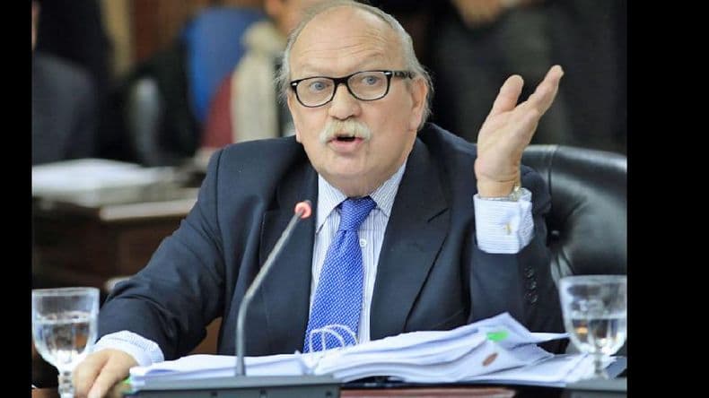 La Cámara declaró inconstitucional dos artículos de la Ley de Subrogancia