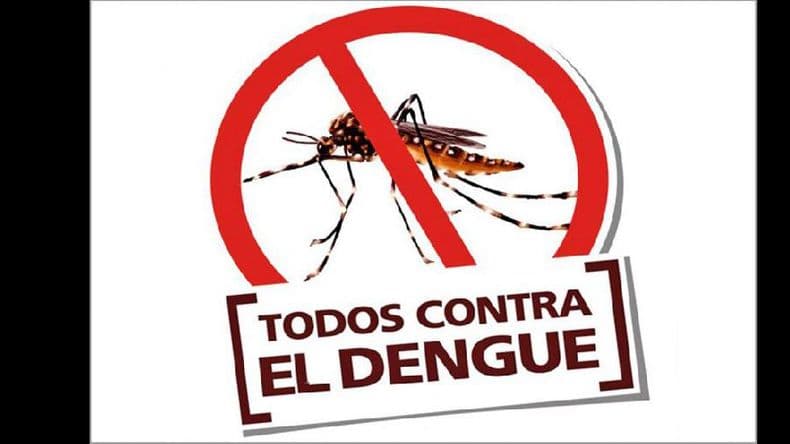 Emitieron un alerta sanitario para insistir en la prevención del dengue