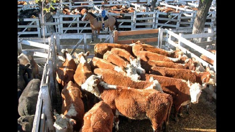 Manifestaciones en distintos puntos del país en el primer día del paro agropecuario