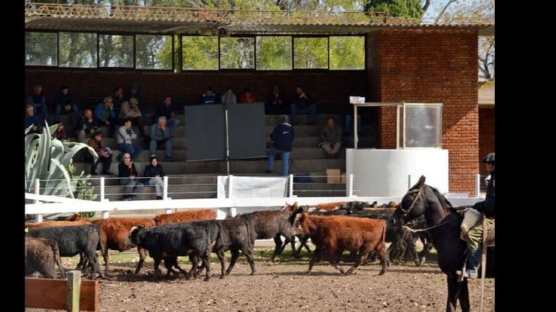 Mercado regional de hacienda: charla de Salvador Distéfano