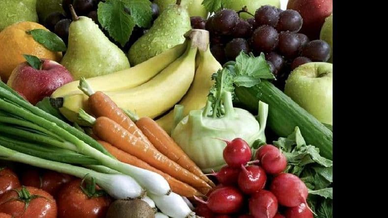 Se oficializó la creación del Programa de Educación Alimentaria Nutricional
