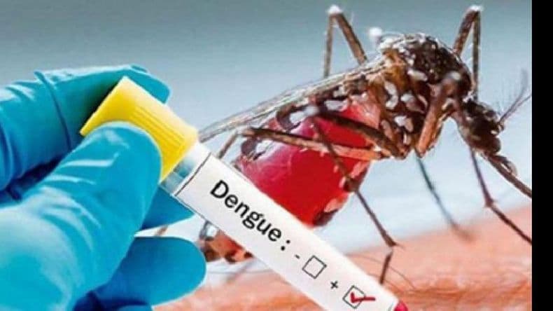 Confirman un caso de Dengue autóctono en nuestra ciudad