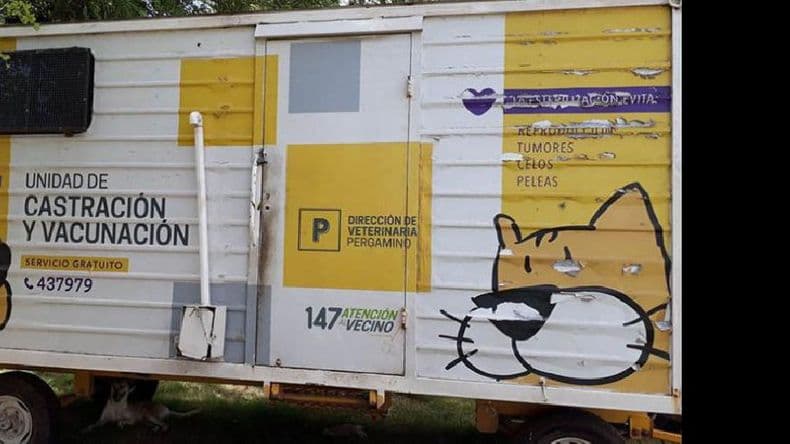 Más de 350 castraciones mensuales se llevan a cabo en barrios y pueblos