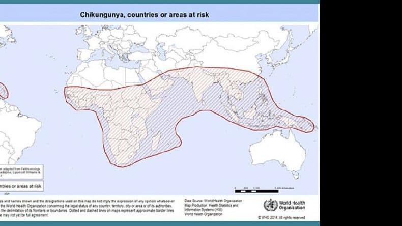 Chikungunya: casos reportados en viajeros exigen reforzar el alerta