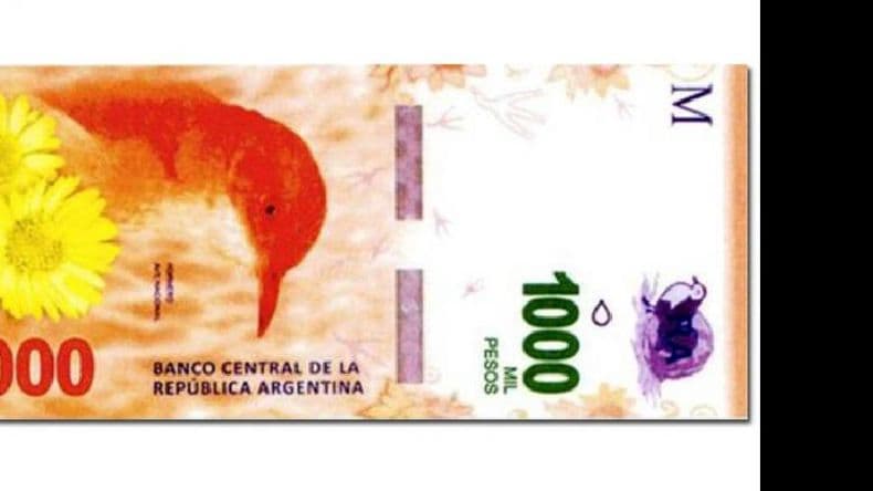 El Banco Central presenta el billete de mil pesos con la imagen de un hornero