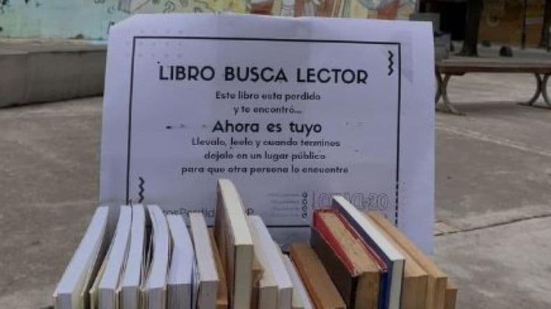 Siembra Mundial de Libros ¿De qué trata la idea que se replicará en Pergamino?