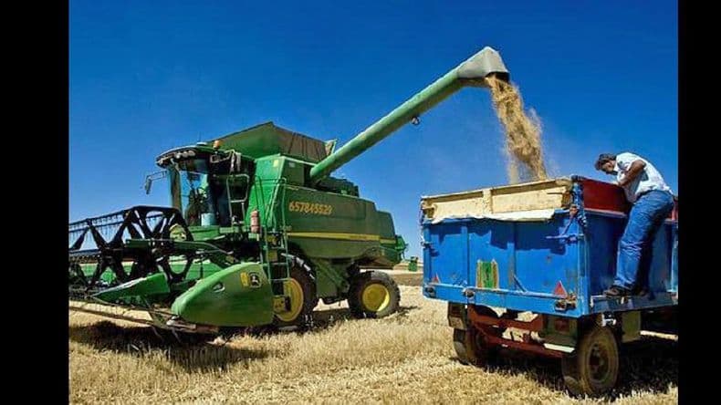 En esta campaña se movilizó un 30% menos de máquinas para cosechar el trigo