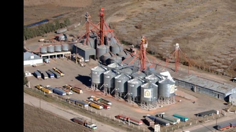 El sector del acopio: un actor clave de la agroindustria nacional