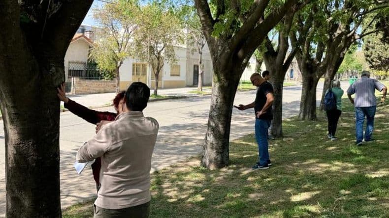 Prueba piloto de la app que se utilizará para el Censo de Arbolado Público