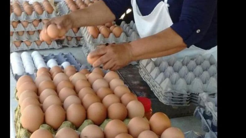 El maple de huevo en Pergamino ya se vende a más de 1.000 pesos